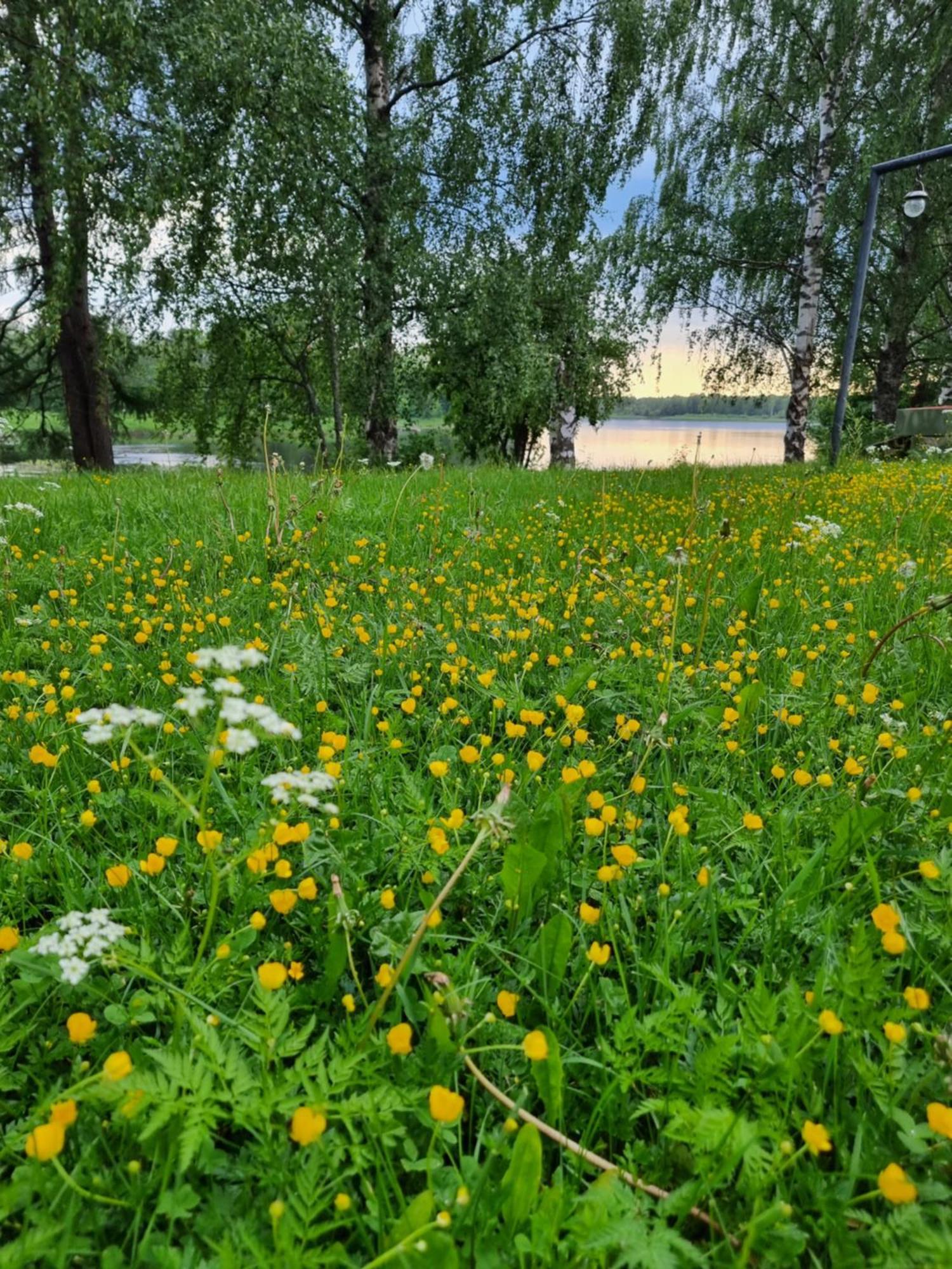 Wanha Kunnantalo Lägenhet Pudasjarvi Exteriör bild